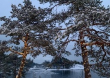 Сортавальский район: Глэмпинг Lago Ladoga