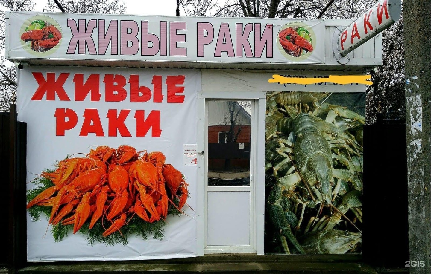 Раки краснодар