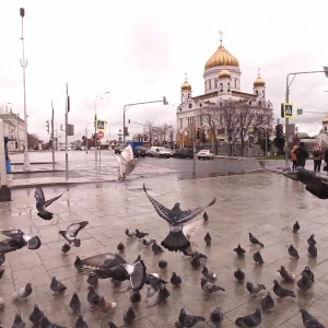 Фото от владельца Храм Христа Спасителя