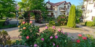 Витязево: Отель Платан resort