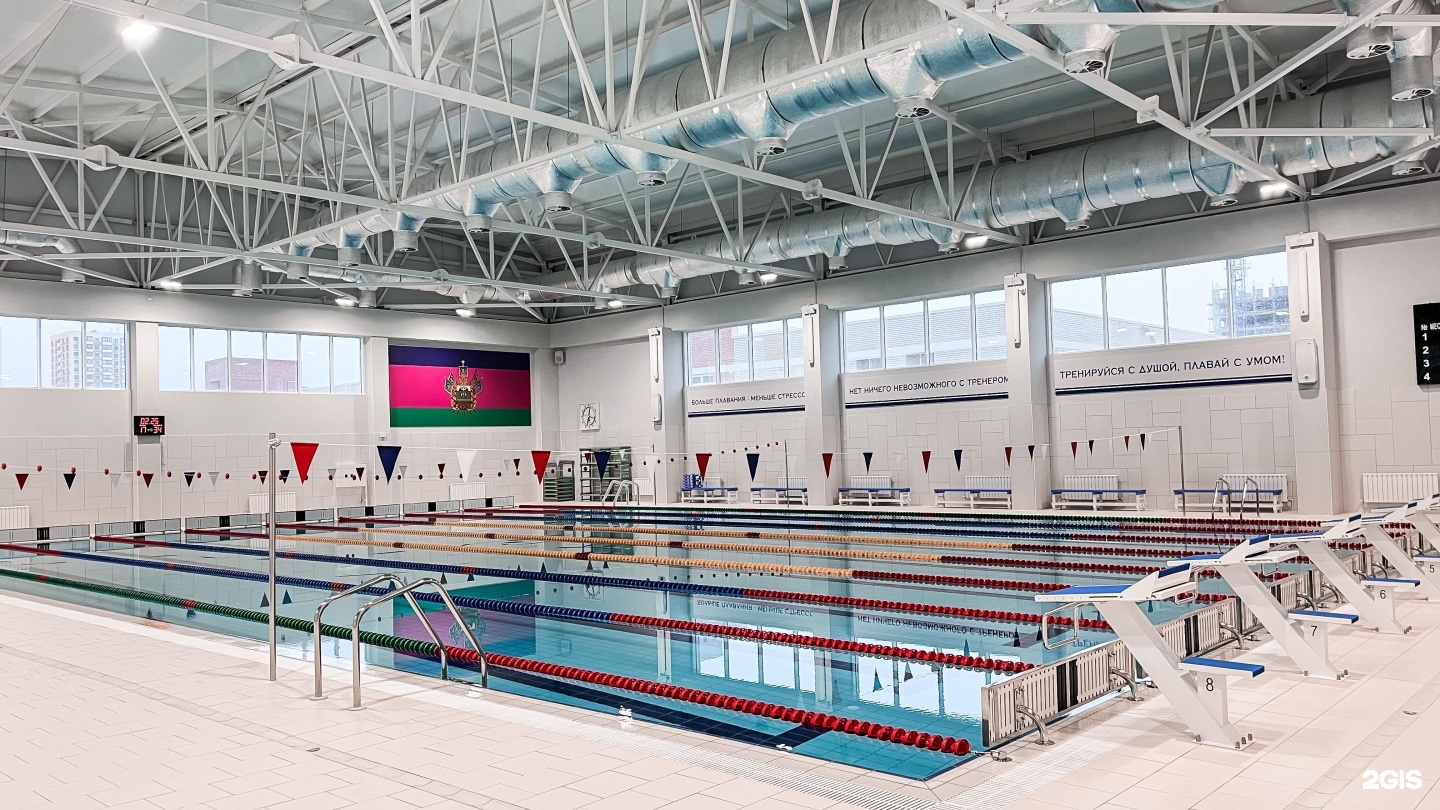 плавательный центр. дворец спорта центральный, бассейн, калуга. бассейн посейдон шадринск. бассейн посейдон. бассейн посейдон.