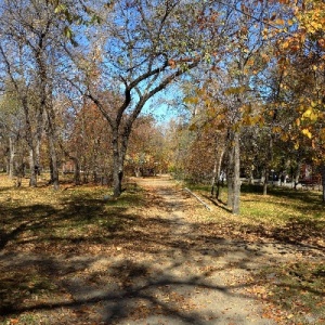 Фото от владельца Городской парк культуры и отдыха, МП