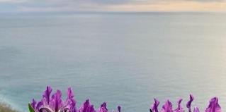 Анапа: Санаторий Дилуч