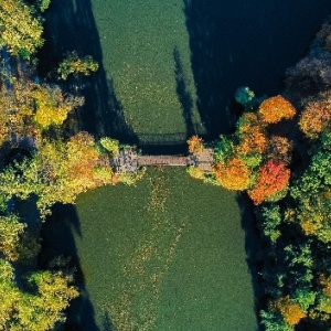 Фото от владельца Южный, ландшафтный парк