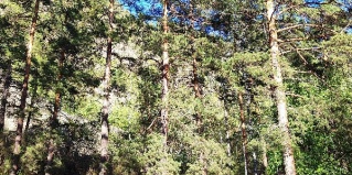 Барангол: Турбаза Иванова дача