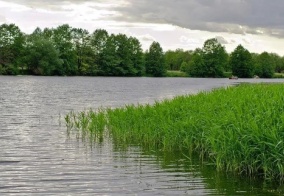 Мини-отель Усадьба в Тульской области