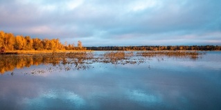 Кротово: Турбаза Плотвичкина заводь