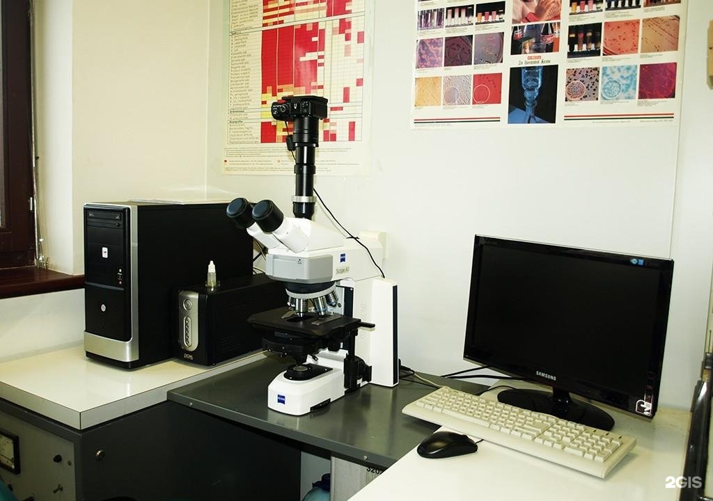 Лаборатория виэв москва. Институт экспериментальной ветеринарии коваленко. Нии институт ветеринарии. Научные ветеринарные опыты. Лабораторные исследования животных.