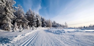 Васильевское: Отель 4 сезона