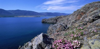 Сахюрта: Апартаменты Гагарин house