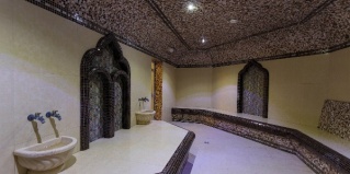 Домодедово: Отель Ёлочки