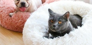 Ступино: Отель Шерр отель