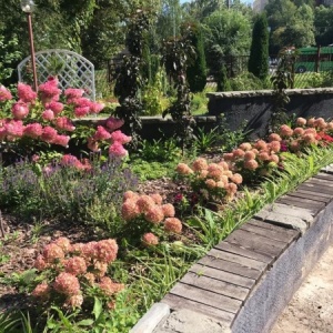 Фото от владельца Дачный мир, сеть садовых центров