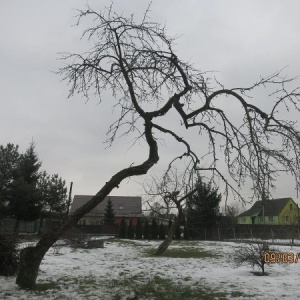 Фото от владельца Дровосек 39, компания