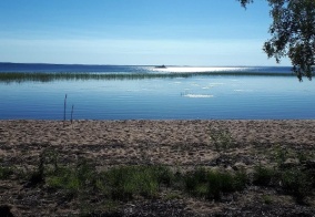 Глэмпинг New Camp в Республике Карелия