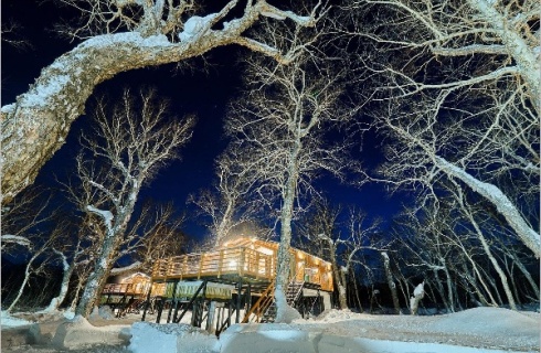 Елизовский район: Турбаза Kamchatka forest lodge