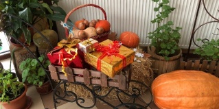 Нововолково: Турбаза Хуторок