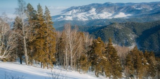 Белокуриха: Отель Благодать