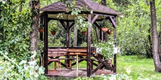 Петергоф: Отель Дом Трувеллера