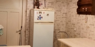 Санкт-Петербург: Коттедж Старый кот