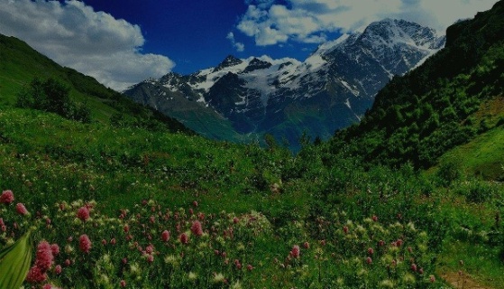 Тегенекли: Отель Эльбрус