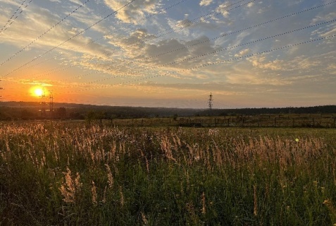Глазово: Коттедж Fligel
