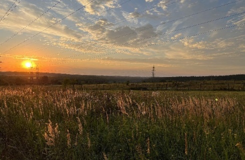 д. Глазово: Коттедж Fligel