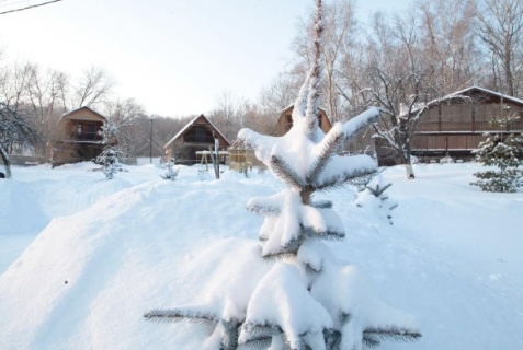 Половское: Турбаза Окский берег