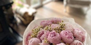 Усть-Заостровка: Турбаза Иртышская Ривьера