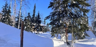 Шерегеш: Коттедж Лесной