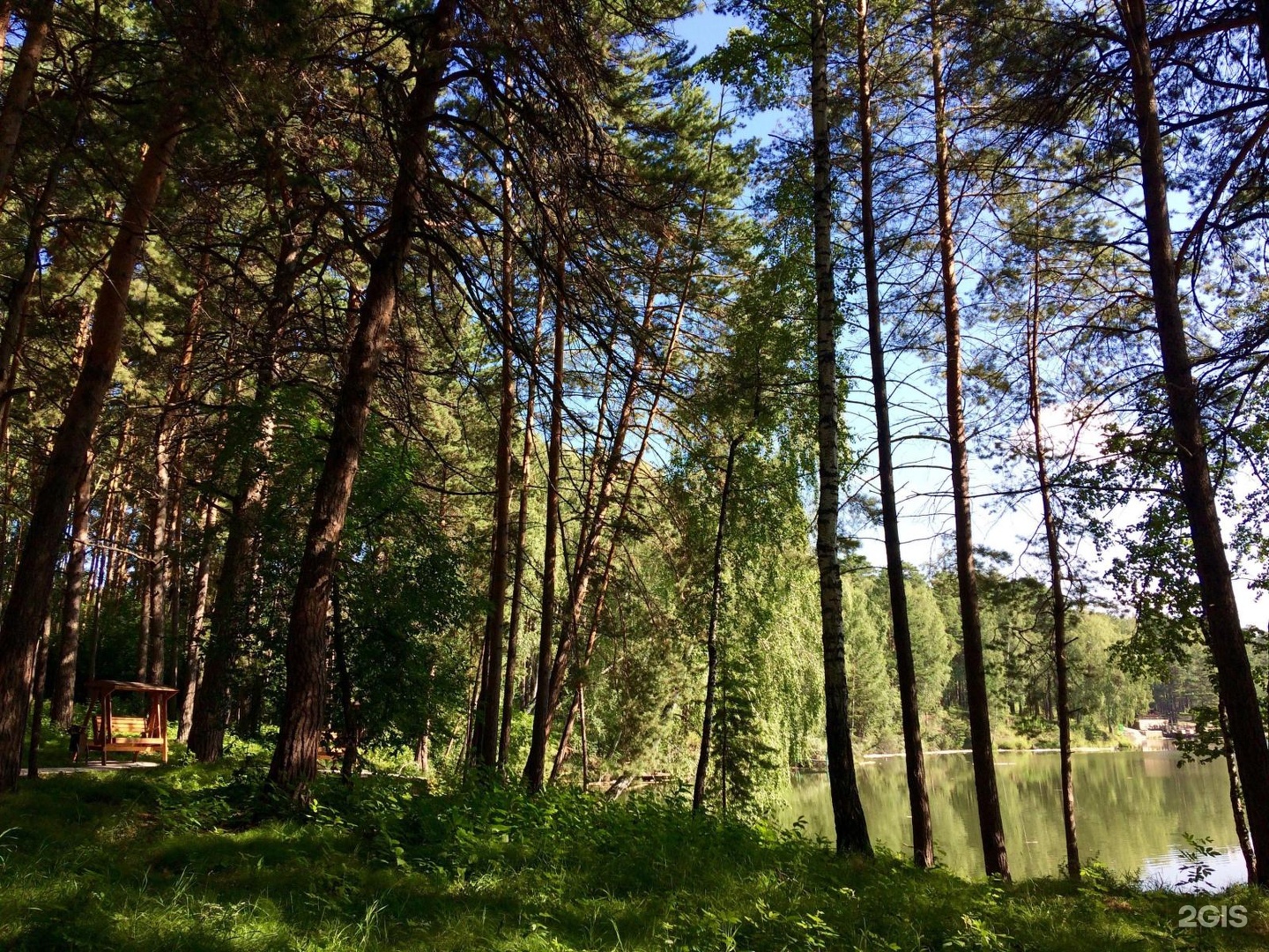 Зеленая роща орел ломоносова. Зелёная роща Бердск. Г. Бердск, зеленая роща, 2а. Зелёная роща Владимирская обл. Зеленая роща Орел.