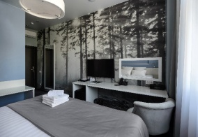 Отель Hotel Design style в Новосибирской области