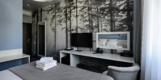 Новосибирск: Отель Hotel Design style