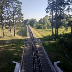 Фото от владельца Заельцовский, парк культуры и отдыха