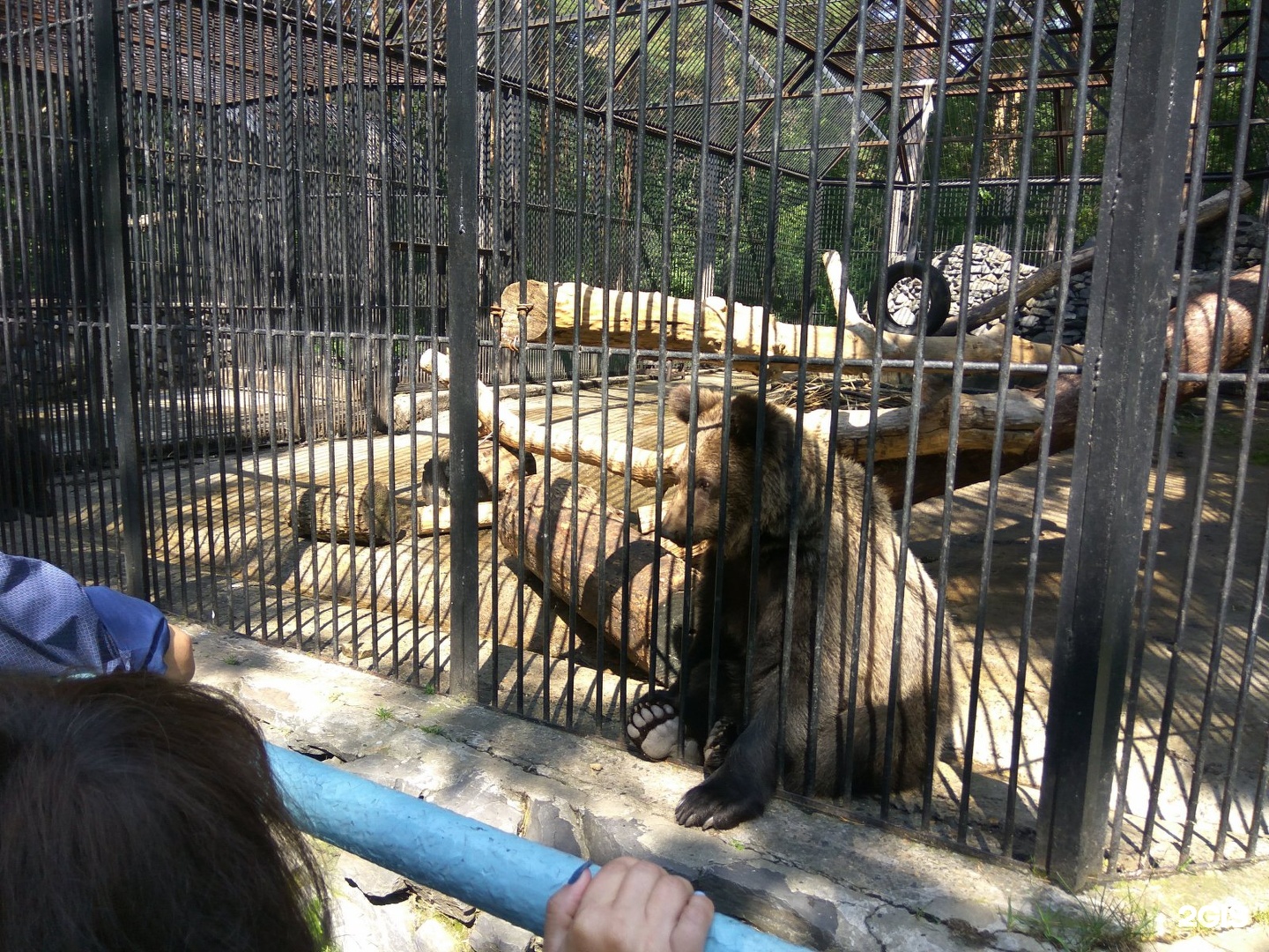 Зоопарк Шило Новосибирск