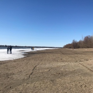 Фото от владельца Заельцовский, парк культуры и отдыха