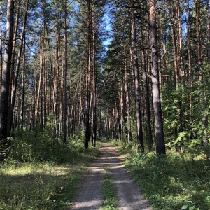 Фото от владельца Заельцовский, парк культуры и отдыха