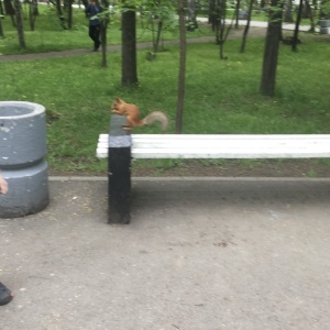 Фото от владельца Центральный парк культуры и отдыха