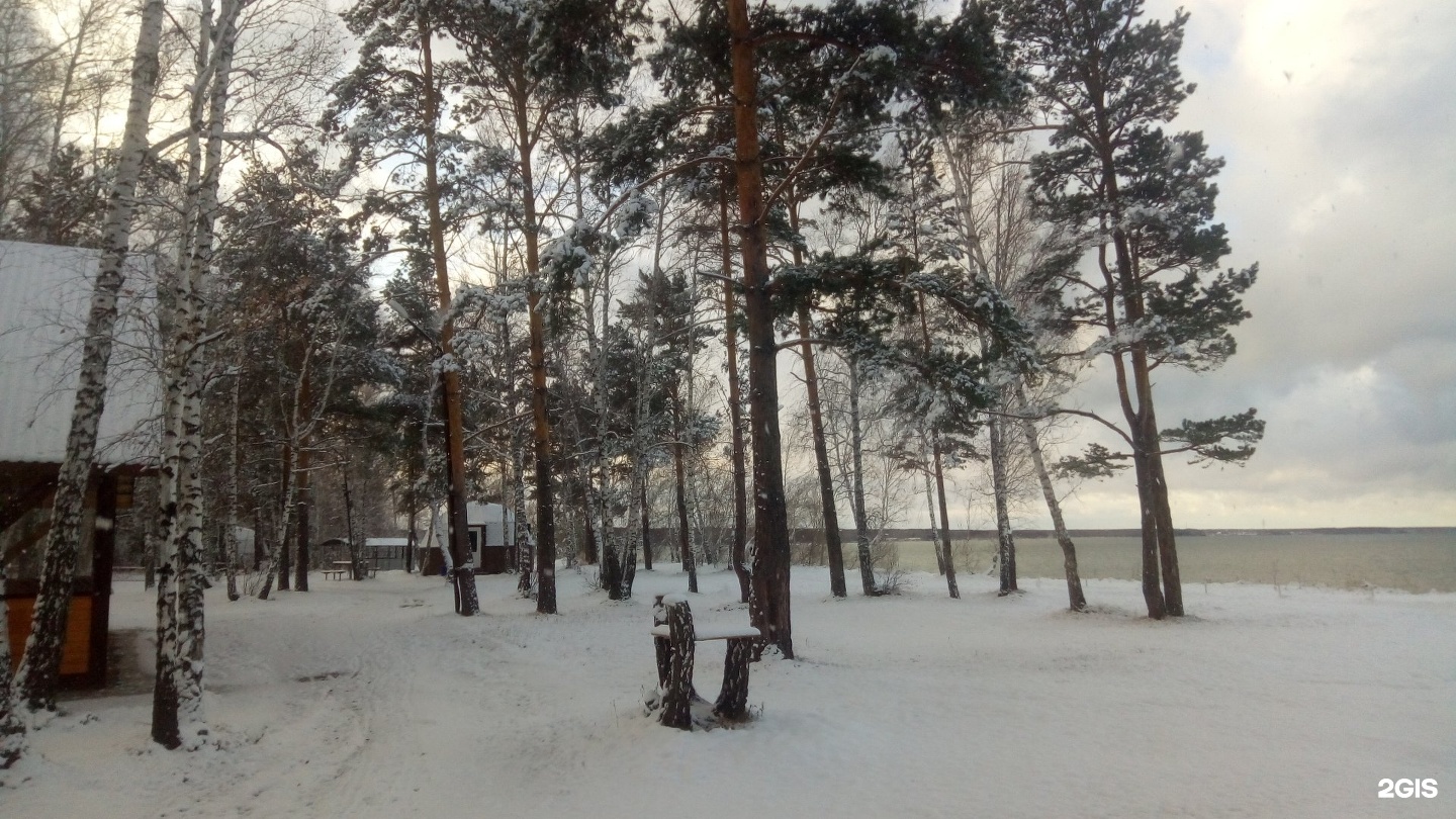 Зеленая роща бердск