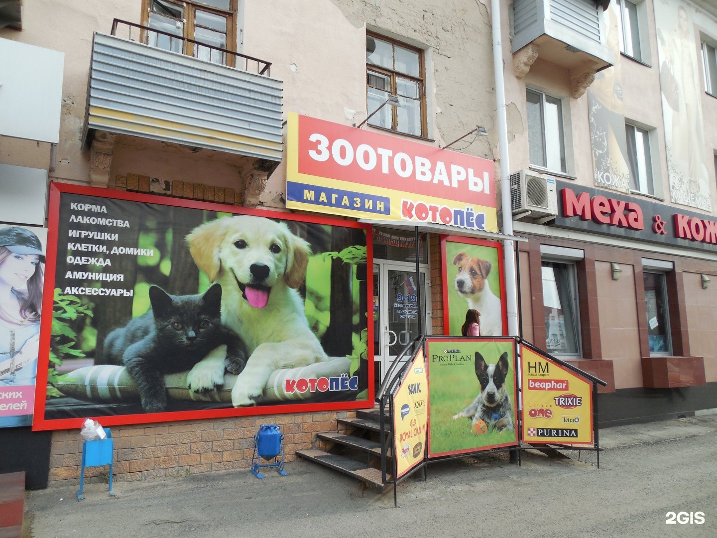 Открытку днем, смешная реклама картинки для зоомагазина