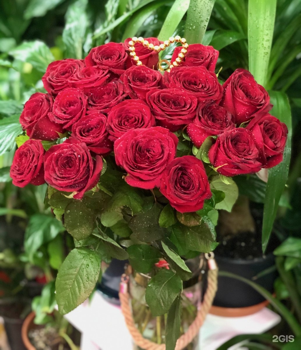 Цена 1 розы Ноябрьск