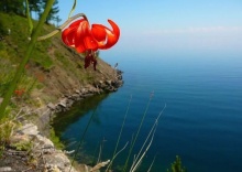 Иркутск: Глэмпинг Воробьевы горы