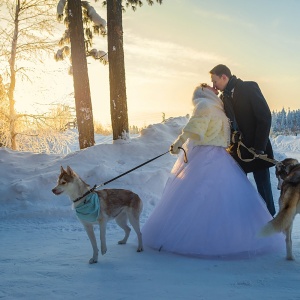 Фото от владельца Фотостудия Анатолия Павлова