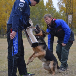 Фото от владельца Анкур, спортивно-кинологический центр