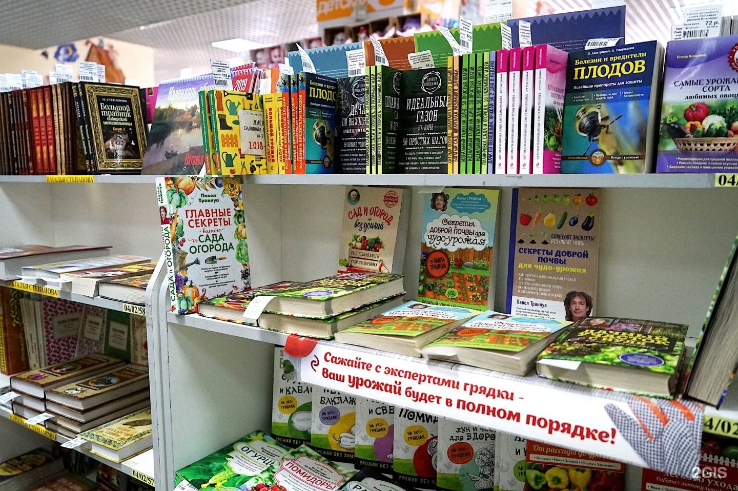 Книжный челны