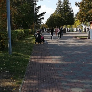 Фото от владельца Центральный парк культуры и отдыха им. Ю.А. Гагарина