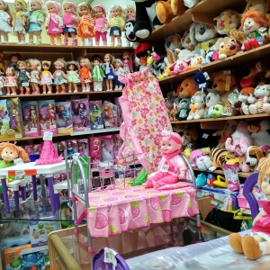 Фото от владельца Каша-малаша, магазин игрушек