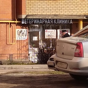 Фото от владельца Профессорская ветеринарная клиника, ИП Нижегородова О.В.