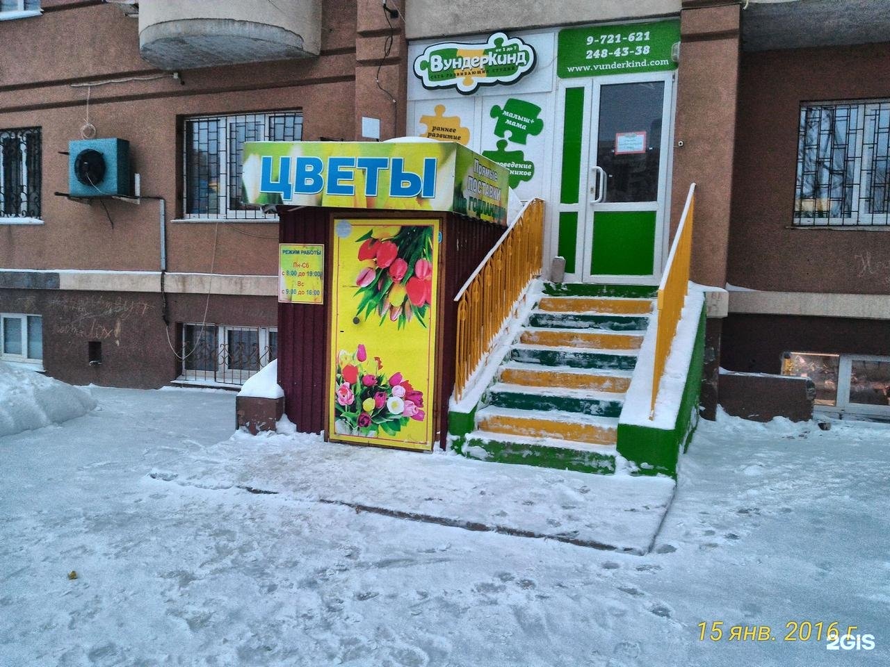 Новый, склад-магазин цветов азалия