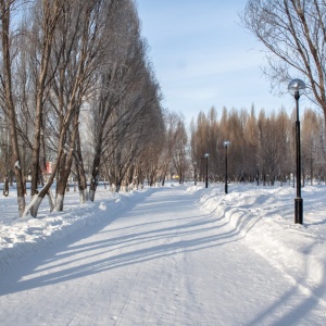 Фото от владельца Парк культуры и отдыха им. Ю.А. Гагарина